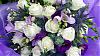     
: white-and-purple-flower-1024x576.jpg
: 220
:	52.3 
ID:	2368