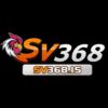   sv368is
