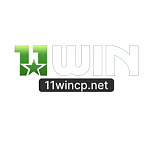 ������ ��� 11wincpnet