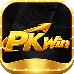 ������ ��� pkwinltd